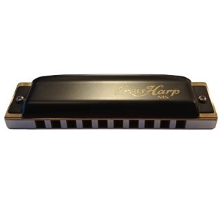 Antony Dannecker Custom Harmonica - Melody Maker - As New & Professionally Serviced - key LOW D